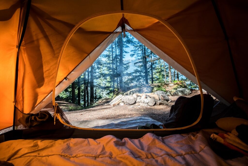 Campfire under starry mountain sky